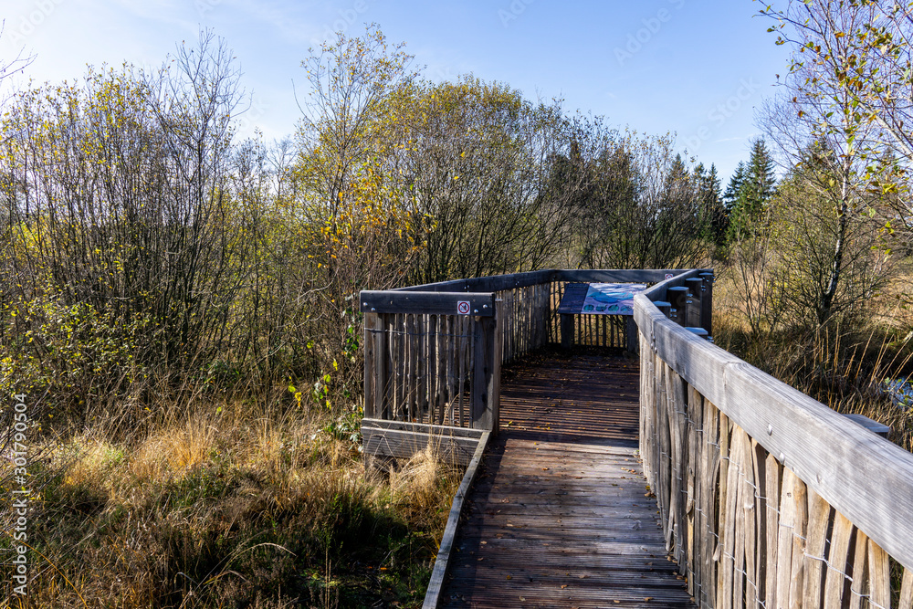 Wandern im hohen Venn