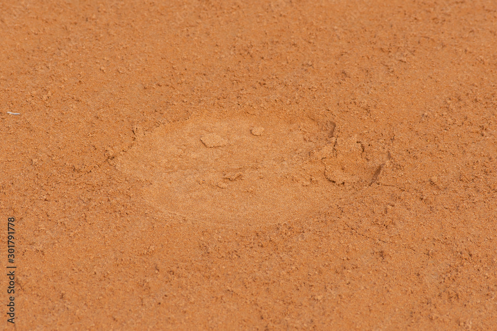 A close up of a dromedary camel (Camelus dromedarius) footprint or track across the desert sand in the United Arab Emirates. A close up of a dromedary camel (Camelus dromedarius) footprint or track across the desert sand in the United Arab Emirates.
