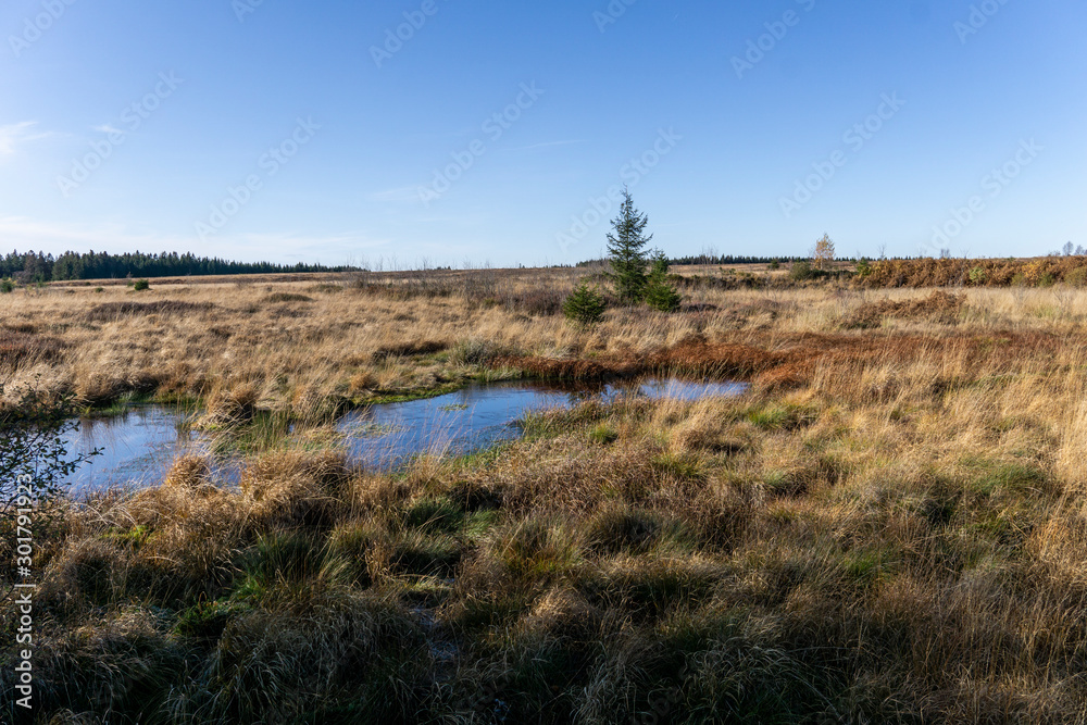 Wandern im hohen Venn