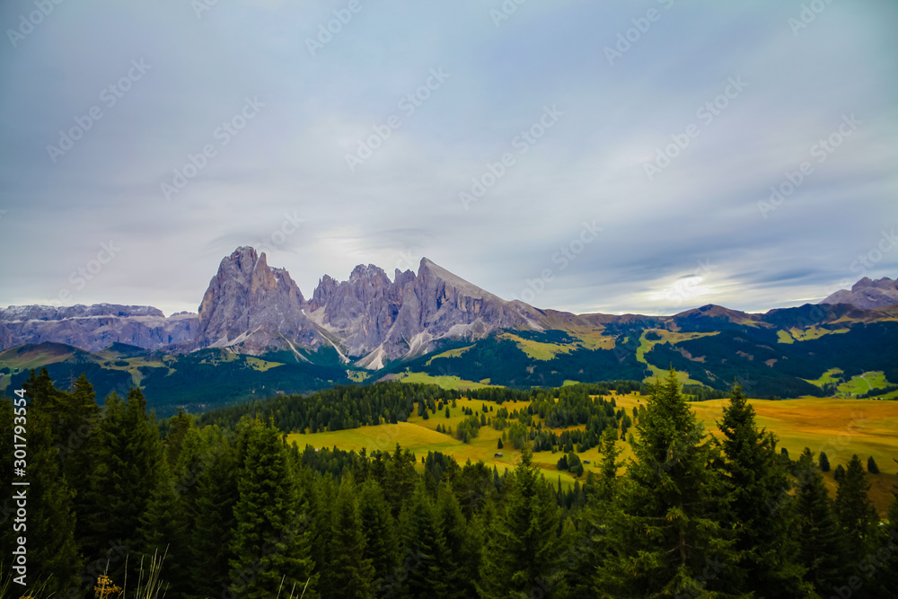 Fototapeta premium Forest Mountains