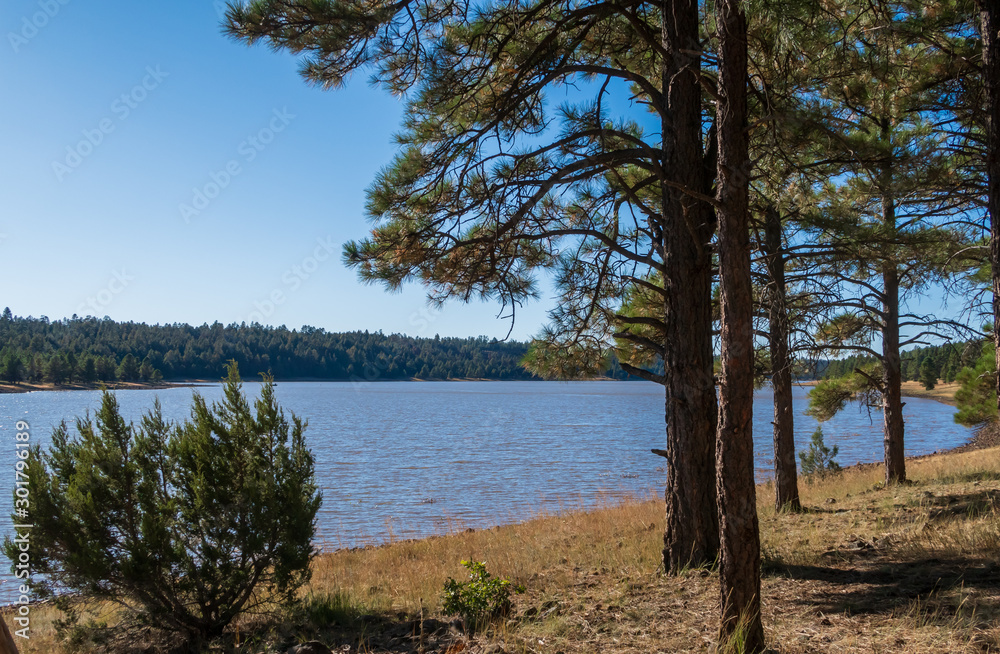 Landscape of Marly lake and a few trees near Flagstaff, Arizona Landscape of Marly lake and a few trees near Flagstaff, Arizona
