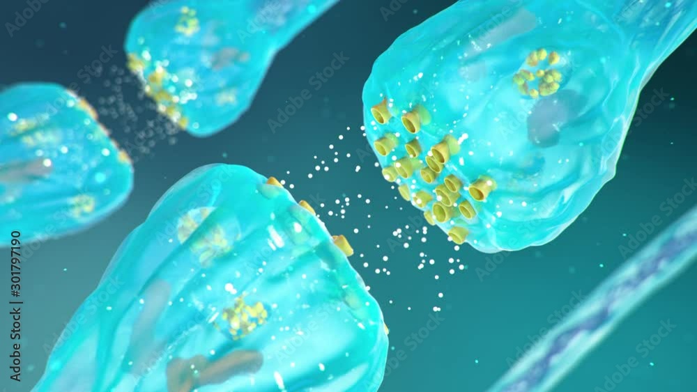 Synaptic transmission, nervous system receptors. Concept consciousness. Brain synapses. Transmission synapse, impulses in brain, information transfer at the cellular or atomic level. 4k 3D animation
