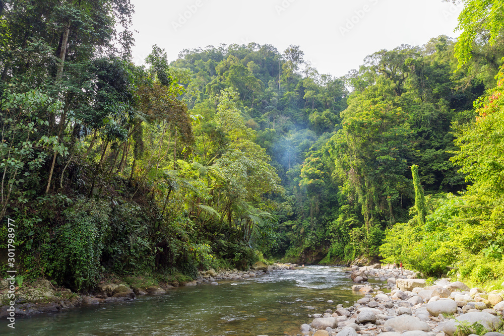 Beautiful landscape view of the a river in the rainforest during a ecotourism jungle hike in Gunung Leuser National Park, Bukit Lawang, Sumatra, Indonesia