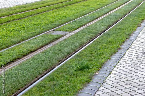 Bilde på lerret rails de tramway