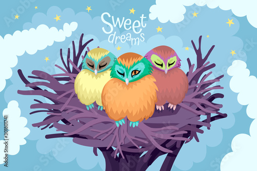 Three owls sleep in a nest, the night sky with clouds and stars