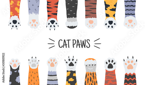 Cat paws. Hand drawn funny puppies and kittens claws and foots, wild animals and pets paws. Vector doodle illustrations cartoon dog foot with claws set for icon dangerous animal on white