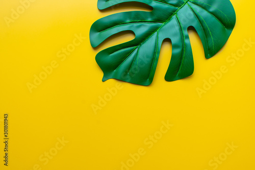 green leaf on yellow background.