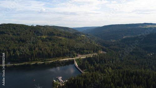 Blick auf den Schluchsee im Schwarzwald