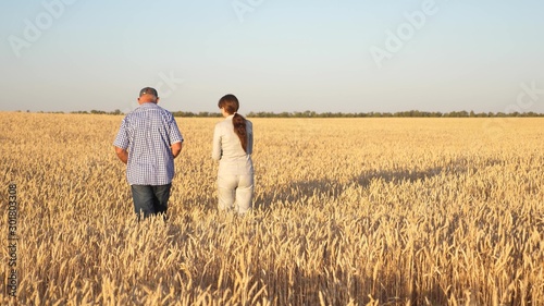Happy businessmen farmers discuss wheat crop on the field. Ripening grain and harvesting. Agronomists checks the quality of wheat. Agriculture concept. Business colleagues. © zoteva87