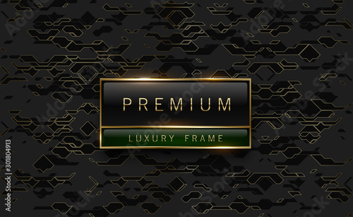 Premium black green label with golden frame on black geometric background golden lines. Dark luxury logo template. Vector illustration