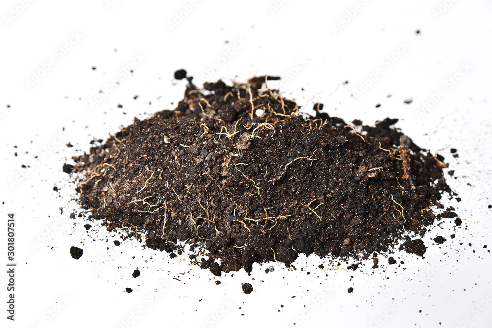 Heap of black soil on a white background with small roots Heap of black soil on a white background with small roots