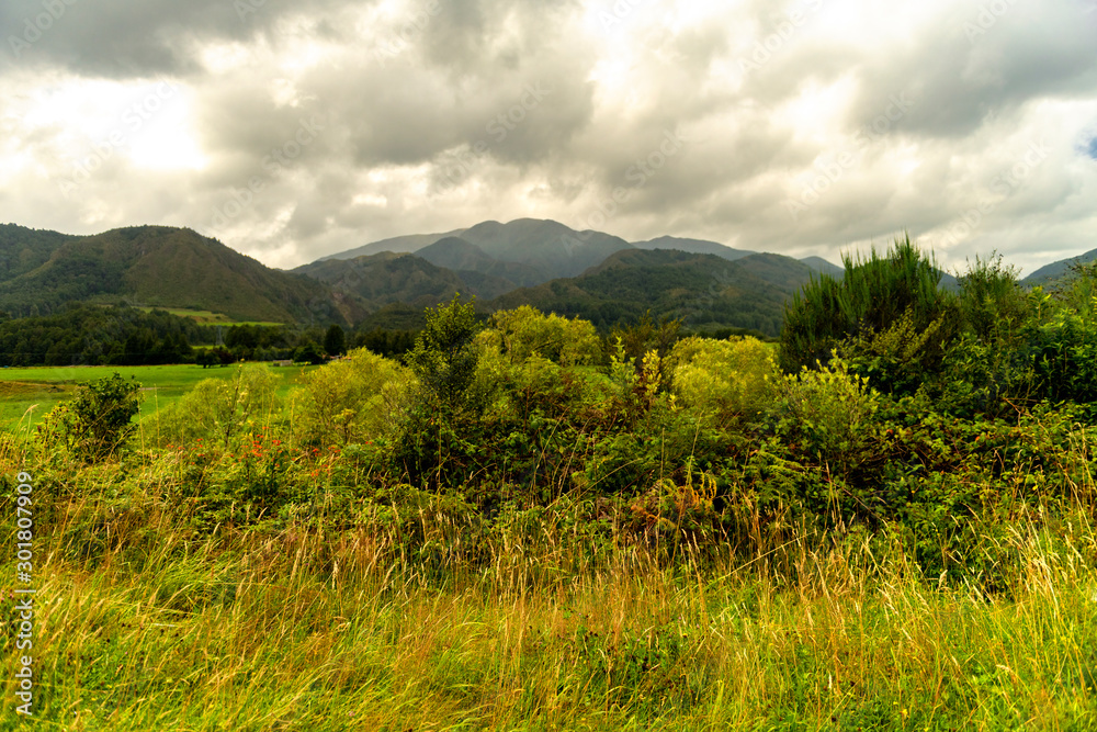 untouched nature with wild grasses, bushes, meadows and mountains in the background