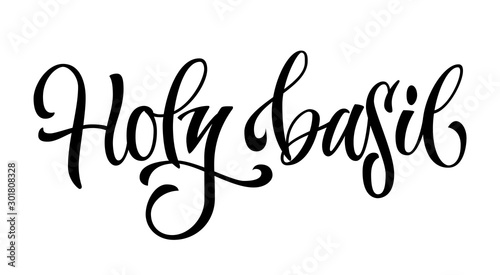 Vector hand drawn calligraphy style lettering word - Holy basil.