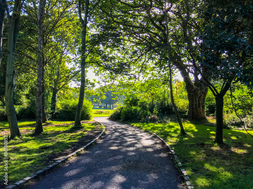 Greenery in Ireland