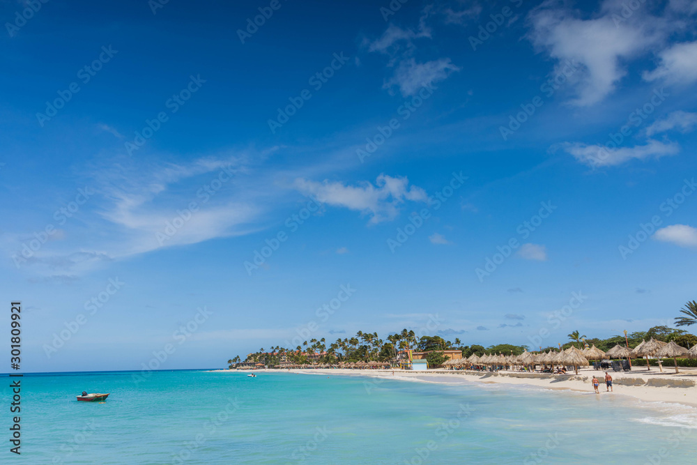 White sand beach and turquoise waves on green palm trees and blue sky background. Eagle Beach of Aruba Island.  Beautiful nature background.