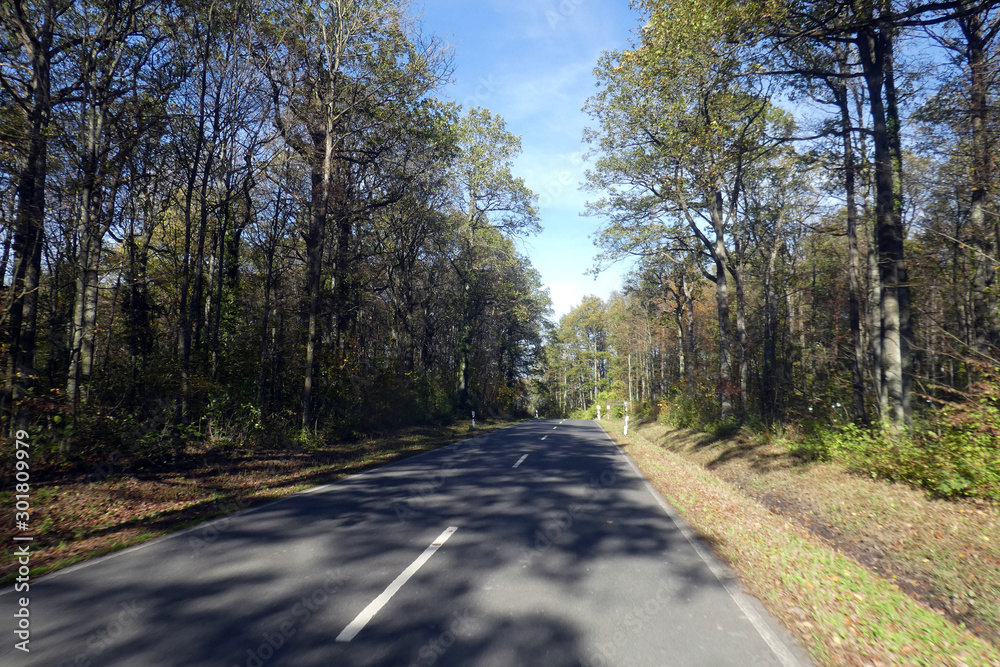 Naklejka premium Straße von Stierhöfstetten nach Castell