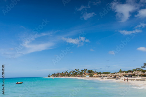 White sand beach and turquoise waves on green palm trees and blue sky background. Eagle Beach of Aruba Island.  Beautiful nature background.