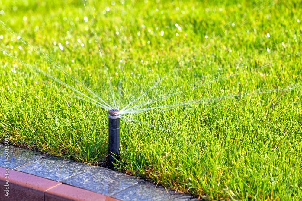 Underground irrigation sprinkler system, automatic watering - obrazy, fototapety, plakaty 