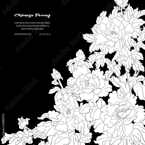 Peony tree branch with flowers in the style of Chinese painting on silk Template for wedding invitation, greeting card, banner, gift voucher, label. Black and white vector illustration..