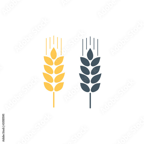 Ears of Wheat, Barley or Rye vector visual graphic icons, ideal for bread packaging, beer labels etc. Stock Vector illustration isolated on white background.