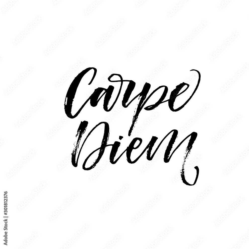 Carpe diem - latin phrase means Capture the moment. Modern vector brush calligraphy. Ink illustration with hand-drawn lettering. 