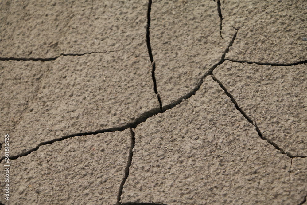 Obraz premium Craquelure