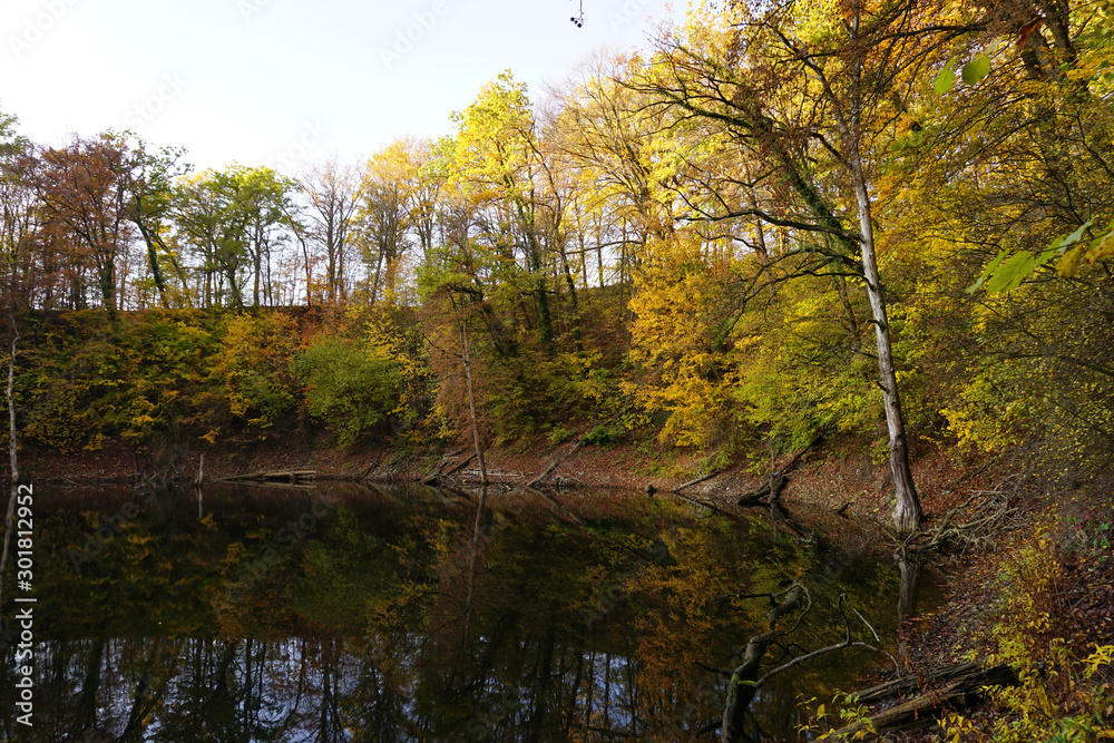  The Dillsgraben near Bockenem on a beautiful autumn day in November