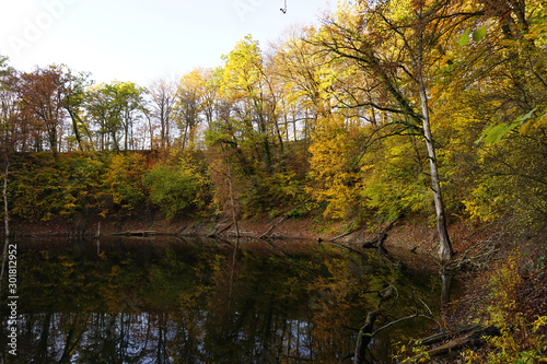  The Dillsgraben near Bockenem on a beautiful autumn day in November