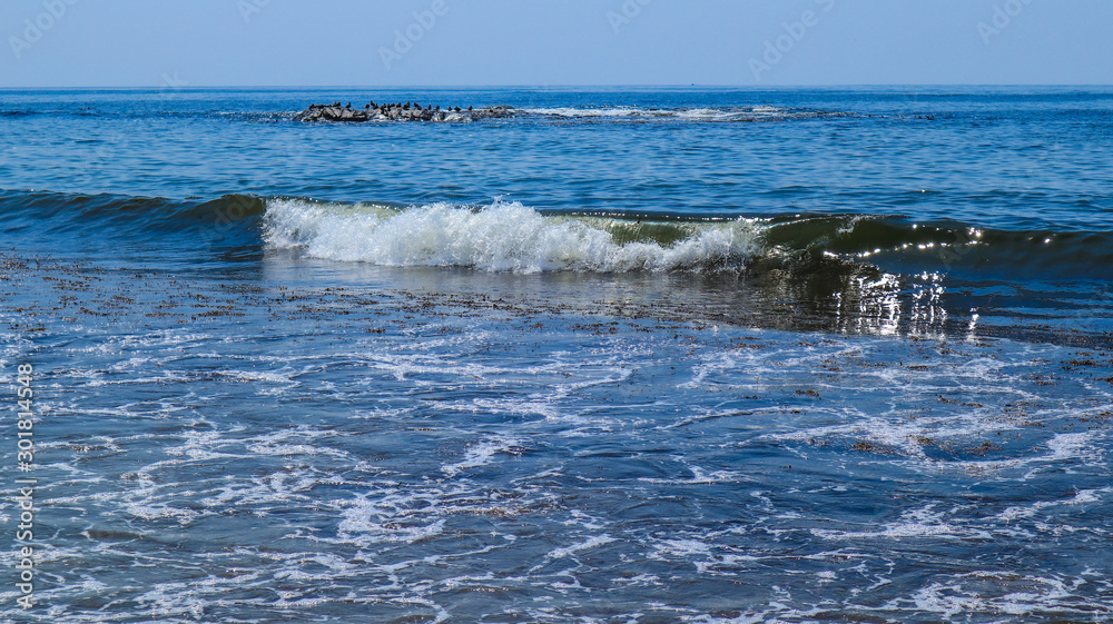 Fototapeta premium sea and sky