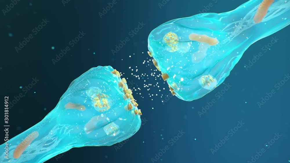 Synaptic transmission, human nervous system. Brain synapses. Transmission synapse, signals, impulses in the brain, information transfer at the cellular or atomic level. 4k 3D animation