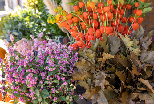 Autumn seasonal everyday flowers counter with maple leaves, pink snowberry branches and orange Physalis peruviana plant twigs at the greek garden shop in October. photo