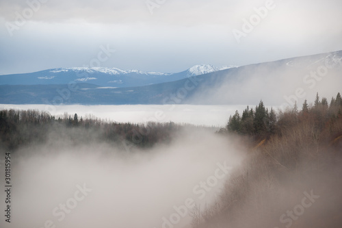 Fog in the Mountain Wilderness