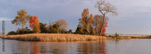 Island with Golden Grasses on a Sunny Morning with Bridge in Background