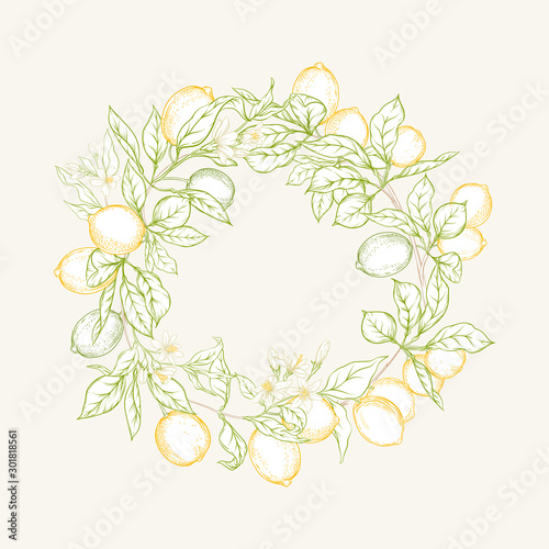 Lemon tree branch with lemons  flowers and leaves. Element for design. Colored outline hand drawing vector illustration.