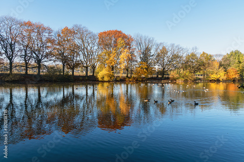 Bäume an einem See im Herbst