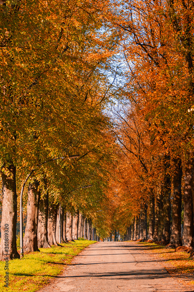 Eine Straße im Herbst