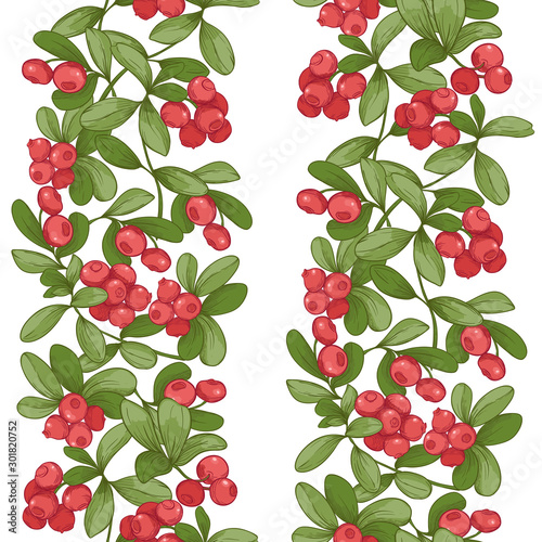 Cranberry. Seamless pattern, background. Graphic drawing, engraving style. Vector illustration isolated on white background