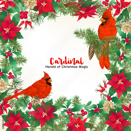 Cardinal bird and Christmas wreath of spruce, pine, poinsettia, dog rose, mistletoe, fir. Template for card, banner, gift voucher, label. Colored vector illustration..