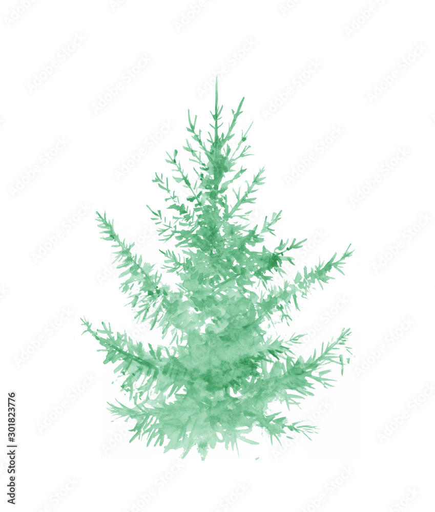 Fir. Watercolor monochrome drawing. Christmas tree 
