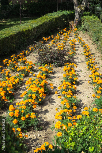 Beutiful gardens from Bihuega, Guadalajara, Spain