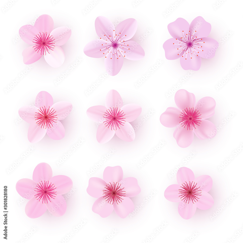 Realistic pink sakura petals icon set. Cherry petals