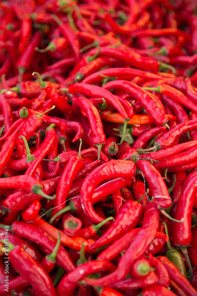 Red Chilies Portrait