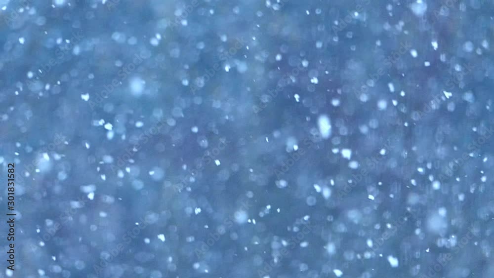 Snow flakes gracefully falling in slow motion, the perfect winter background.