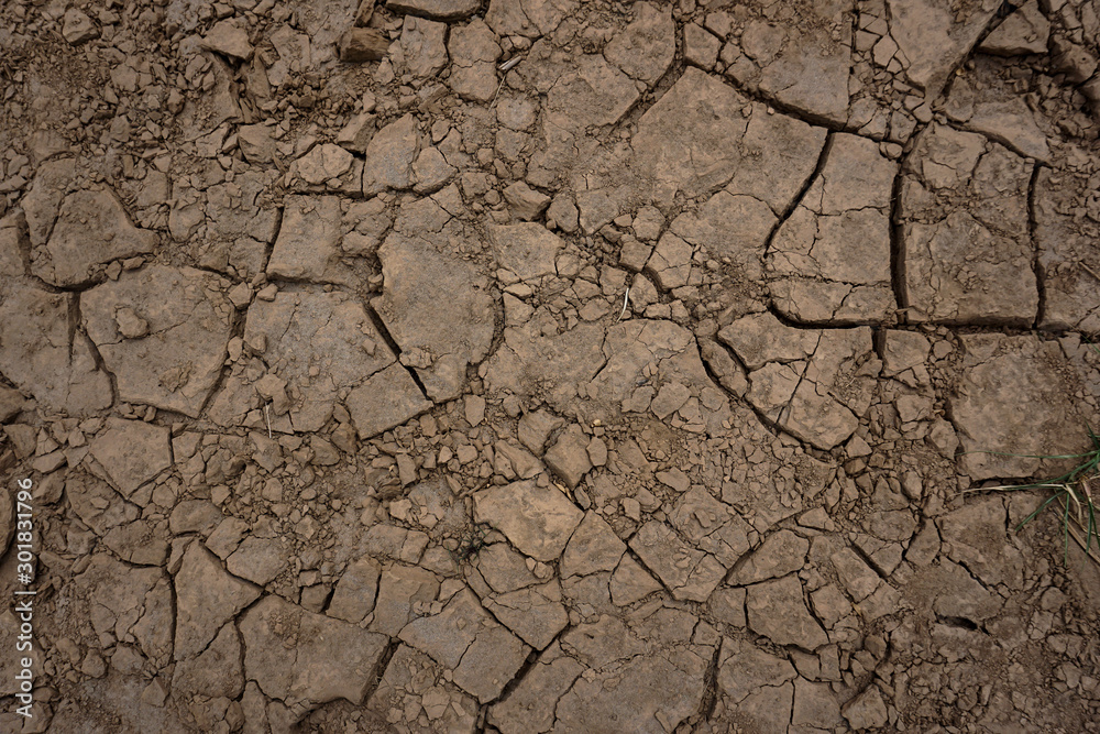 Dry cracked land surface texture - obrazy, fototapety, plakaty 