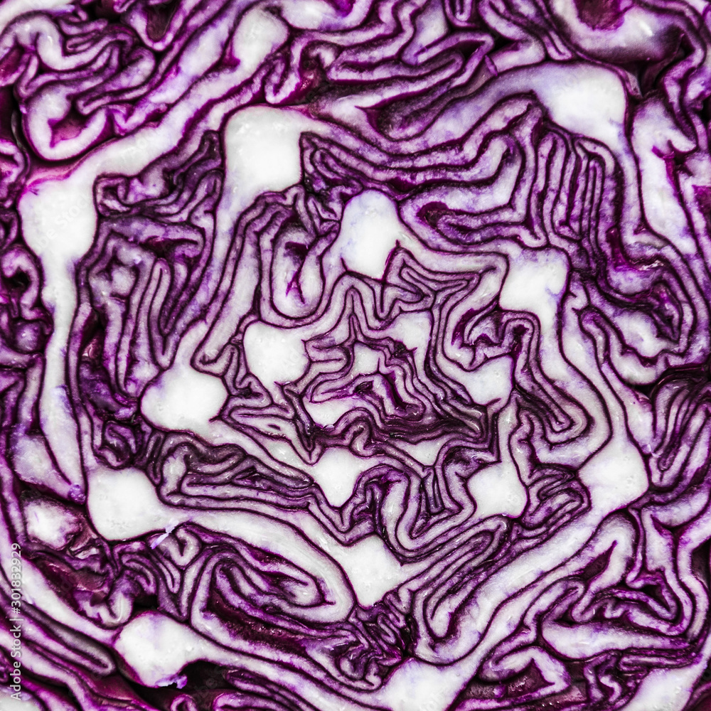 Obraz premium Red cabbage background. Abstract pattern of cross section. Top view