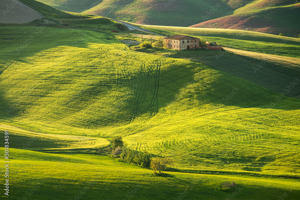 Fototapeta premium Farma w Toskanii, Włochy, zielone wzgórza podczas zachodu słońca