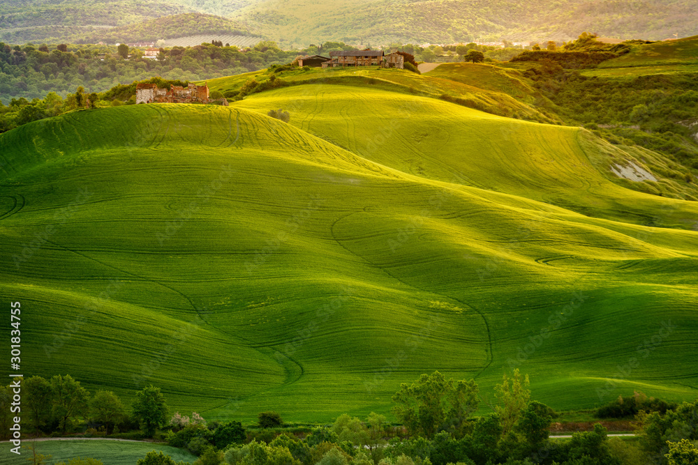 Naklejka premium Farma w Toskanii, Włochy, zielone wzgórza podczas zachodu słońca