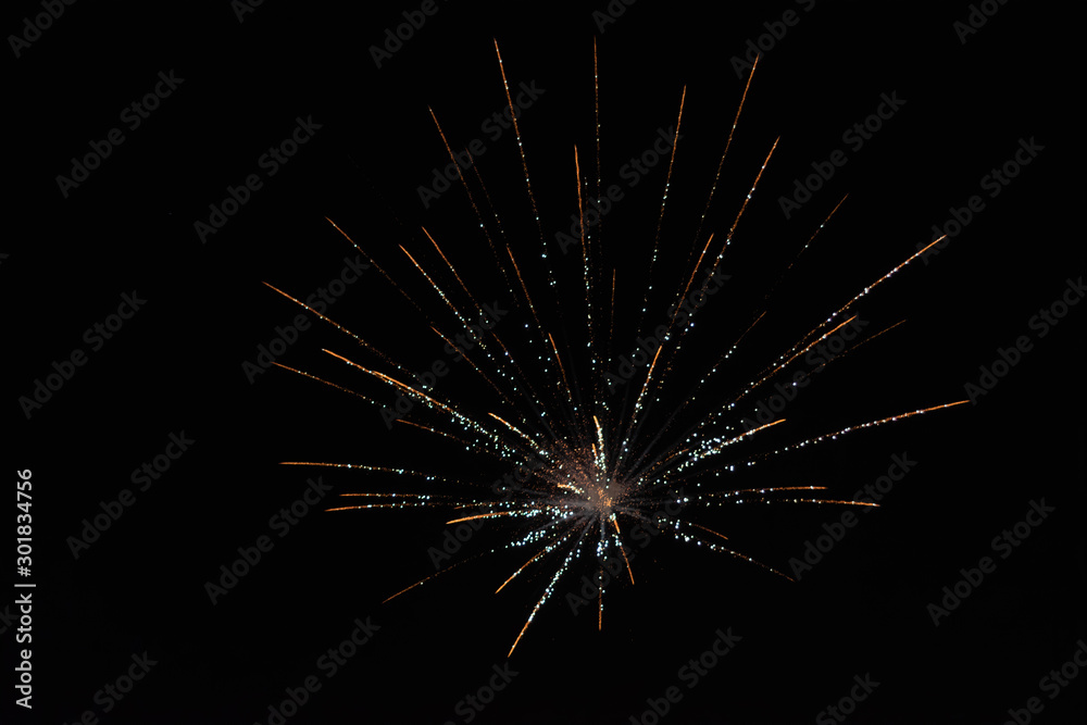 Fototapeta premium Firework Display Lighting up the Dark Sky
