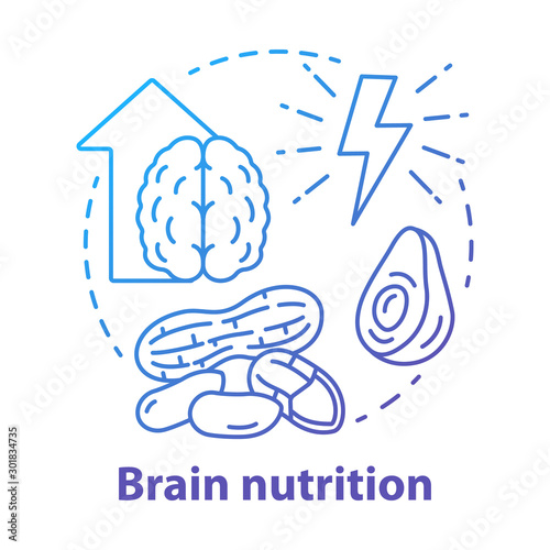 Brain nutrition blue gradient concept icon. Keto diet idea thin line illustration. Ketogenic food. Healthy meal, snacks. Different nuts. Energy resource. Vector isolated outline drawing photo