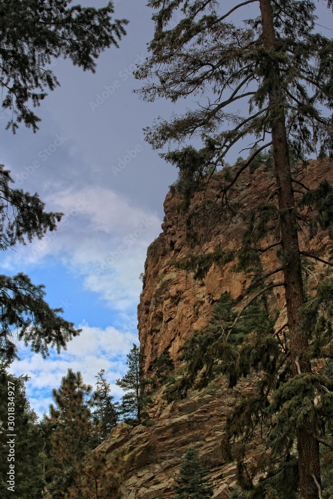 Tree's and Rocky Mountain's with cloud's by Seven Fall's Colorado. Tree's and Rocky Mountain's with cloud's by Seven Fall's Colorado.